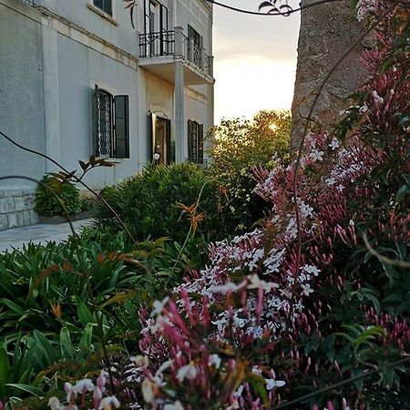 B&B Villa Maria Giovinazzo Zewnętrze zdjęcie